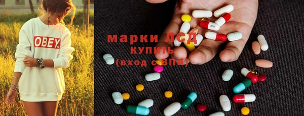 PSILOCYBIN Новокубанск