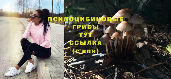 альфа пвп Новозыбков